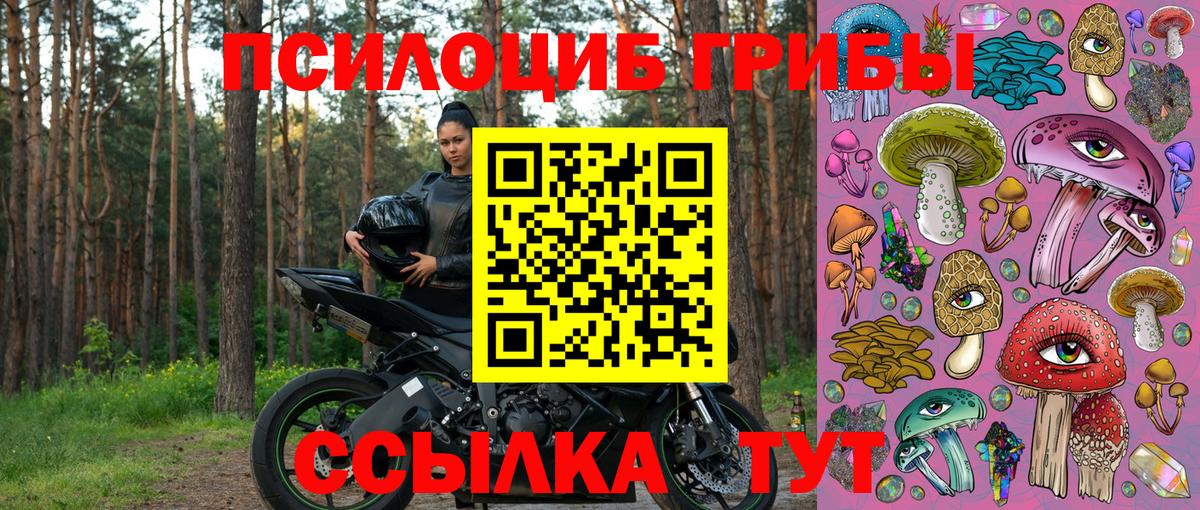 Псилоцибиновые грибы GOLDEN TEACHER Тихвин